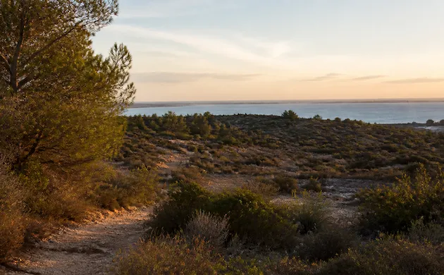 Apertura de puertas en El Chaparral en Torrevieja