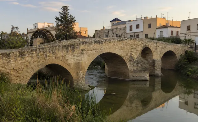 Apertura de puertas en Rojales