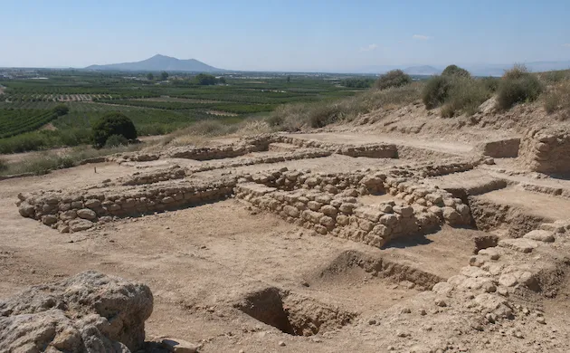 Apertura de puertas en San Fulgencio